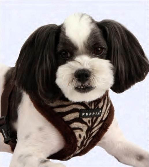 Puppia 2012