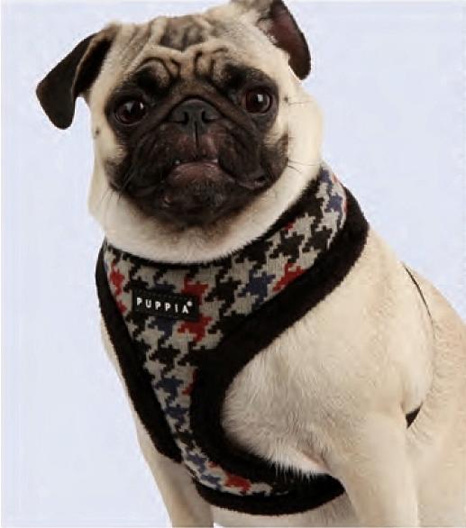 Puppia Tessel Brustgeschirr