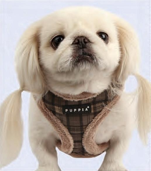 Puppia Winter 2012