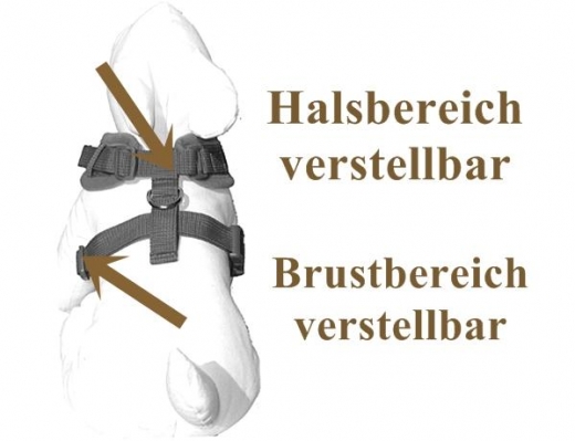 NEUHEIT! Xcross Softgeschirr von Beroni verstellbar schwarz