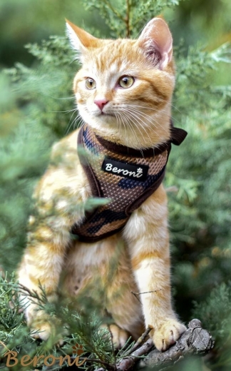 Beroni Katzengeschirr soft New Camouflage verstellbar in 4 Farben