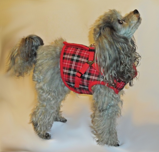 Beroni Jacket Harness english style rot