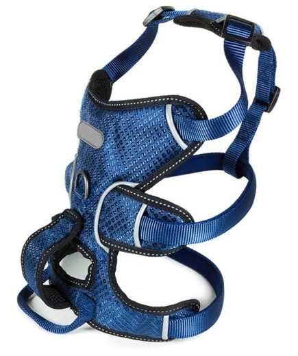 Panikgeschirr Sicherheitsgeschirr ausbruchsicher blau