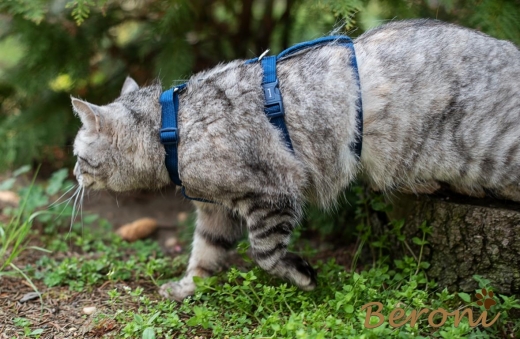 Katzen Sicherheitsgeschirr Beroni Safety Harness Classic blau
