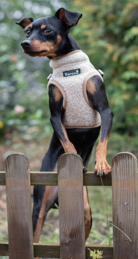 Beroni Jacket Harness Winterweste Curly beige