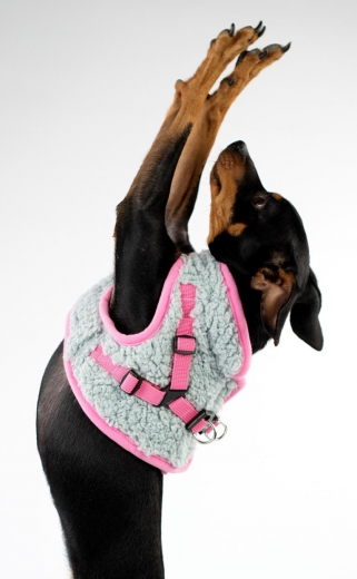 Beroni Jacket Harness Winterweste TEDDY grau-rosa