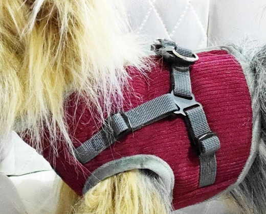 Beroni Jacket Harness Winterweste CORD bordeaux