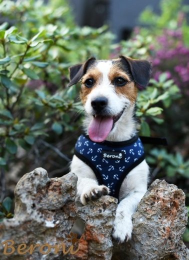 Hundegeschirr Maritim Nautic blue