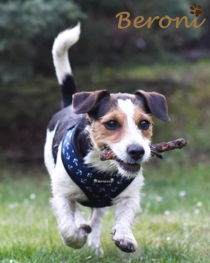 Hundegeschirr Maritim Nautic blue