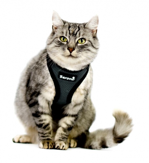 Beroni Softgeschirr Upgrade Easy Walking Katzengeschirr 2.0 grau