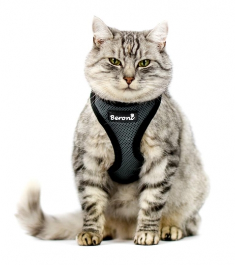 Beroni Softgeschirr Upgrade Easy Walking Katzengeschirr 2.0 grau