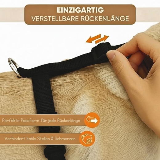 Hundegechirr kleine Hunde verstellbar, leicht und nicht �ber Kopf
