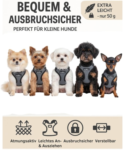 Hundegechirr kleine Hunde verstellbar, leicht und nicht �ber Kopf