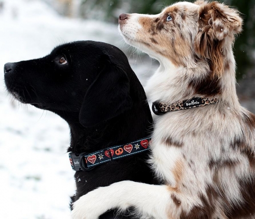 Hundehalsband Bavaria Schatzi Brezel Edelweiss GEPOLSTERT