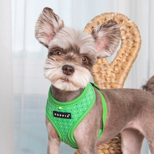 Puppia Bobby Harness Pnktchen Sommer 2017