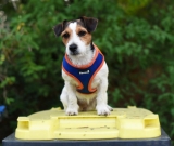 Beroni Softgeschirr TWO TONE princess-blue-flame