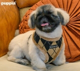 Puppia Geschirr Argyle Mode Harness beige Puppia Geschirr Argyle Mode Harness beige