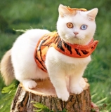 Walking Weste ausbruchsicher Tiger f�r Katzen