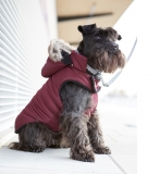 Roter Hundemantel f�r Geschirrtr�ger warm gef�ttert + Kapuze STARS