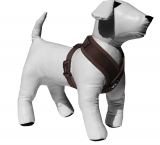 NEUHEIT! Xcross Softgeschirr von Beroni verstellbar braun