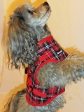 Jacket Harness Beroni english style rot