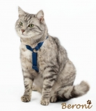 Katzen Sicherheitsgeschirr Beroni Safety Harness Classic blau