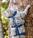 Katzen Sicherheitsgeschirr Beroni Safety Harness Classic blau