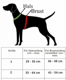 Softgeschirr CUTE DOGGIE braun-taupe