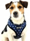 Hundegeschirr Maritim Nautic blue