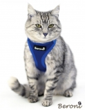 Beroni Softgeschirr Upgrade Easy Walking Katzengeschirr 2.0 blau Beroni Softgeschirr Upgrade Easy Walking Katzengeschirr 2.0 blau