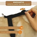 Hundegechirr kleine Hunde verstellbar, leicht und nicht über Kopf Hundegechirr kleine Hunde verstellbar, leicht und nicht über Kopf