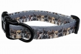 Hundehalsband Chihuahua Hundehalsband Chihuahua