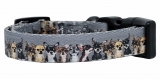 Hundehalsband Chihuahua Hundehalsband Chihuahua