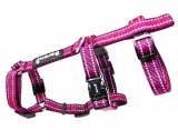 Sicherheits Katzengeschirr Beroni Safety Harness Pro magenta Sicherheits Katzengeschirr Beroni Safety Harness Pro magenta
