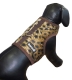 Hundegeschirr Texas Leopard braun