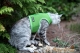 Katzengeschirr Kitty Walking Jacket EYES mint-grn
