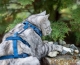 Katzen Sicherheitsgeschirr Beroni Safety Harness Classic blau