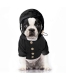 Windbreaker Regenmantel f�r kleine Hunde schwarz