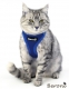 Beroni Softgeschirr Upgrade Easy Walking Katzengeschirr 2.0 blau