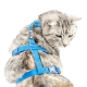 Katzen Sicherheitsgeschirr Beroni Safety Harness Classic hellblau