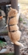Sicherheits Katzengeschirr Beroni Safety Harness Pro braun
