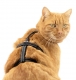 Sicherheits Katzengeschirr Beroni Safety Harness Pro schwarz