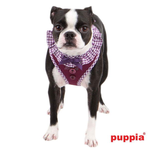 Puppia Vivien Hundegeschirr Boston Terrier