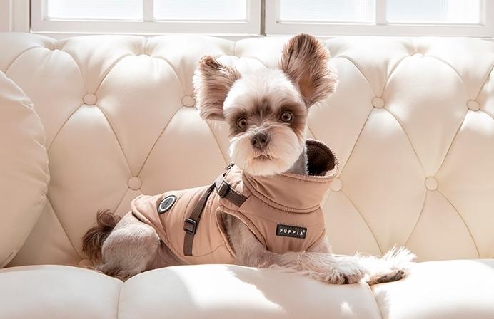 Puppia Lasta Winter-Fleece-Shirt Mit Geschirr Für Hunde – Kapuze, Hellgelb, Größe M (Brust 37,8 Cm, Hals 29 Cm)