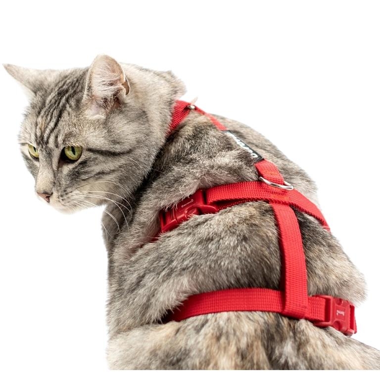 Katzen Sicherheitsgeschirr Beroni Safety Harness Classic rot