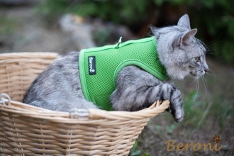 Katzengeschirr Kitty Walking Jacket EYES mint-grn