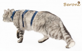 Katzen Sicherheitsgeschirr Beroni Safety Harness Classic blau