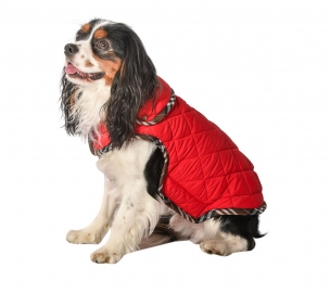 Hundemantel fr Hundegeschirr Tartan rot