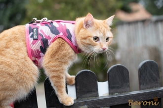 Walking Jacket Beroni NO ESCAPE camouflage pink