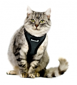Beroni Softgeschirr Upgrade Easy Walking Katzengeschirr 2.0 grau